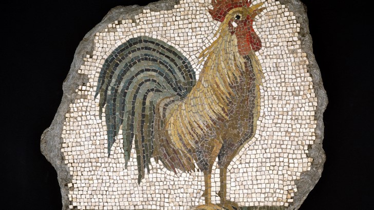 Roman cockerel mosaic