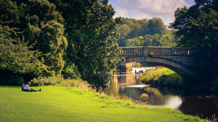 Couple sitting on the grass with a view of the bridge
